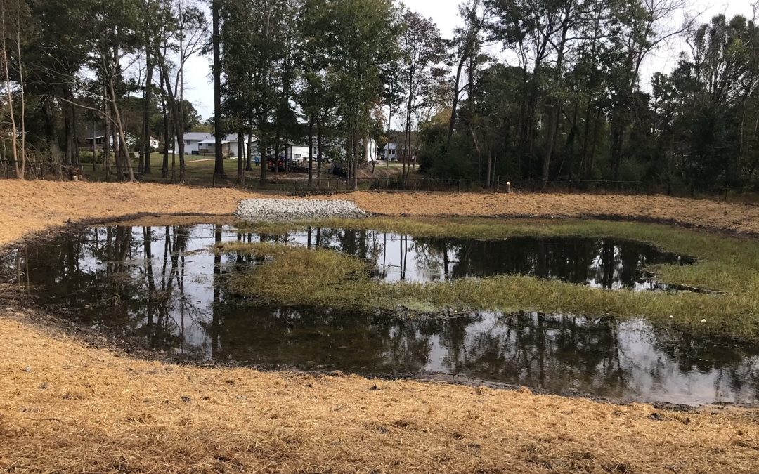 Storm Water & Wetland Ponds