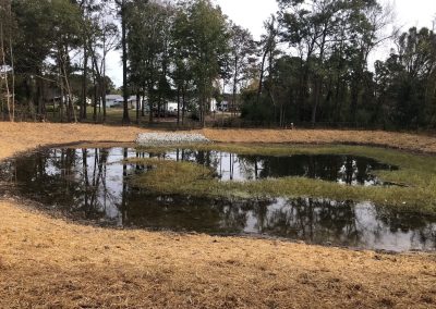 Storm Water & Wetland Ponds